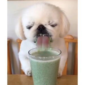 Meet your Posher, Yoonjeong