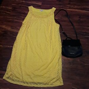 Sandra Darren Plus-Size Summer Dress