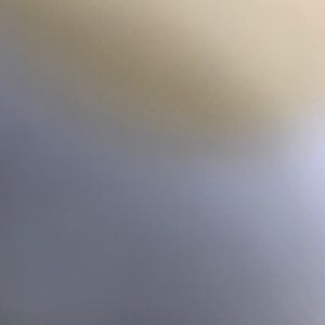 Meet your Posher, Lindsay