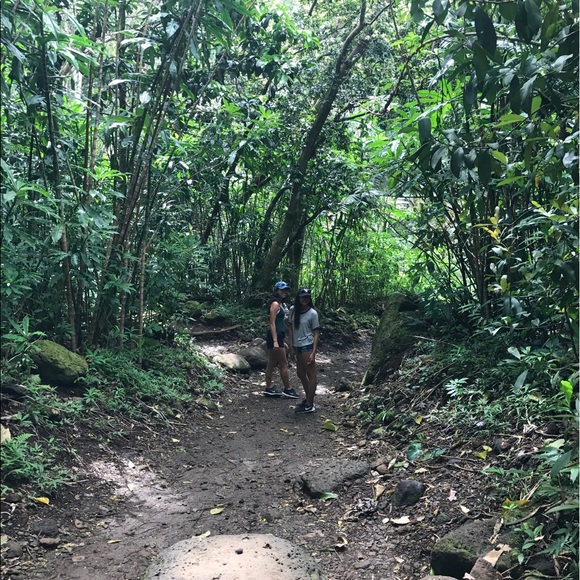 Meet your Posher, Faye - Picture 1 of 1