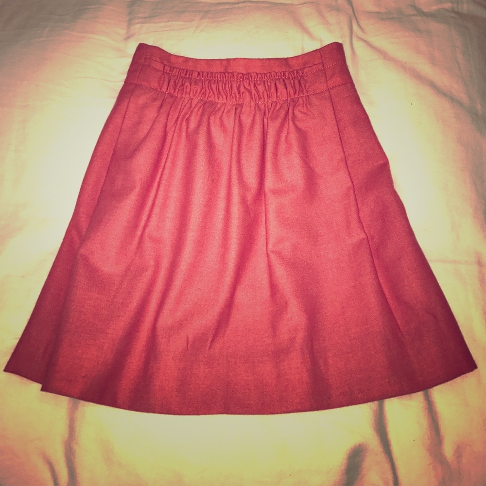 Wool Skirt with Pleated Front