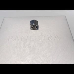 Pandora dog house charm