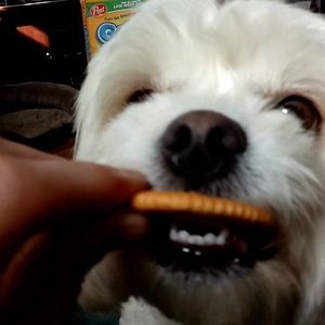 Meet your Posher, Noah