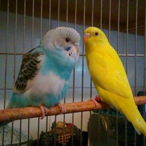 Meet your Posher, Yolanda