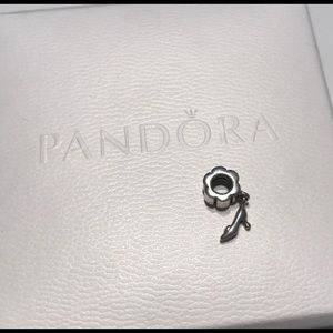 Pandora cinderella charm