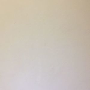 Meet your Posher, Julio