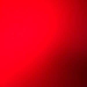 Meet your Posher, Cami