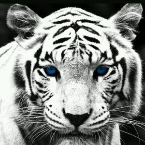 Meet your Posher, Annelise