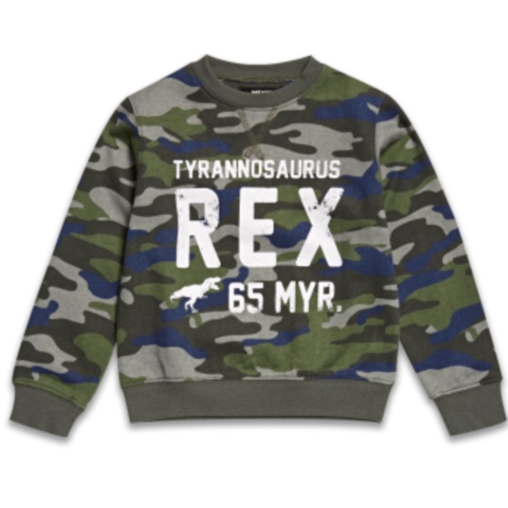 T-Rex Sweater Camo, Army Fatique, Dinosaur Boy