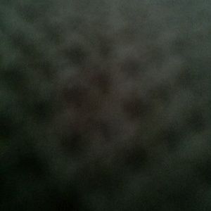 Meet your Posher, Terrence