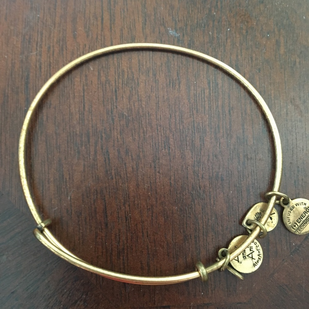 Alex and Ani plain gold expandable bracelet NWOT