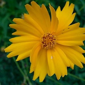 Meet your Posher, Kendra