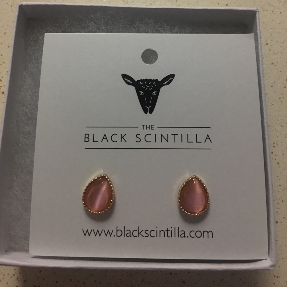 NWT earrings