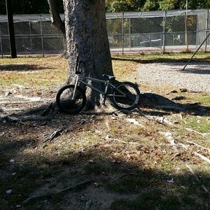 Meet your Posher, Tyler