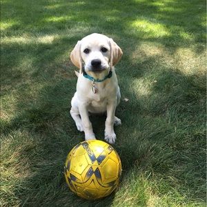 Meet your Posher, Rich