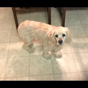 Meet your Posher, Christy