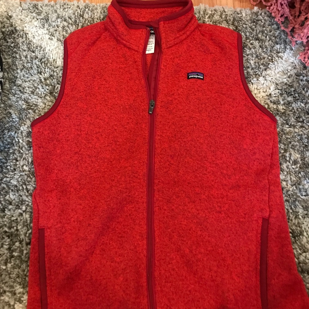 Patagonia vest