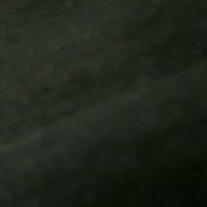 Meet your Posher, Jerry