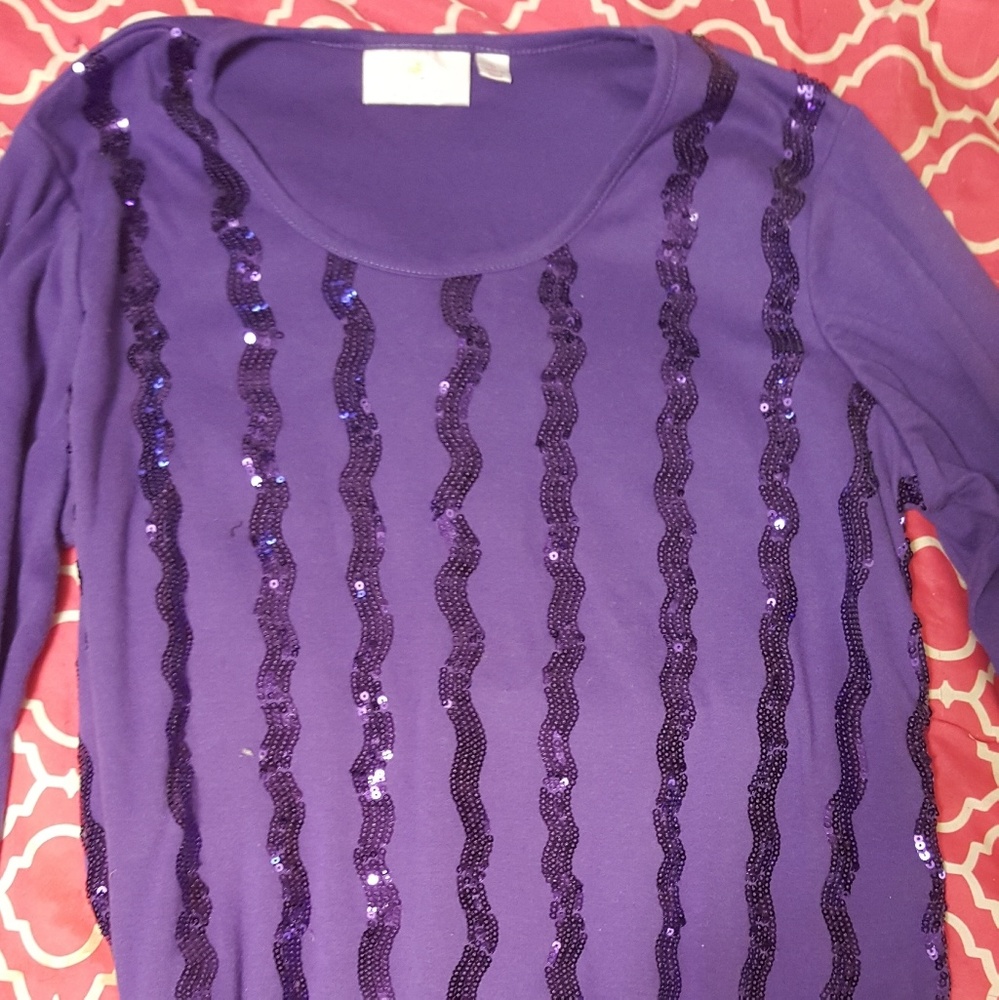 Beautiful Purpke sequin Top