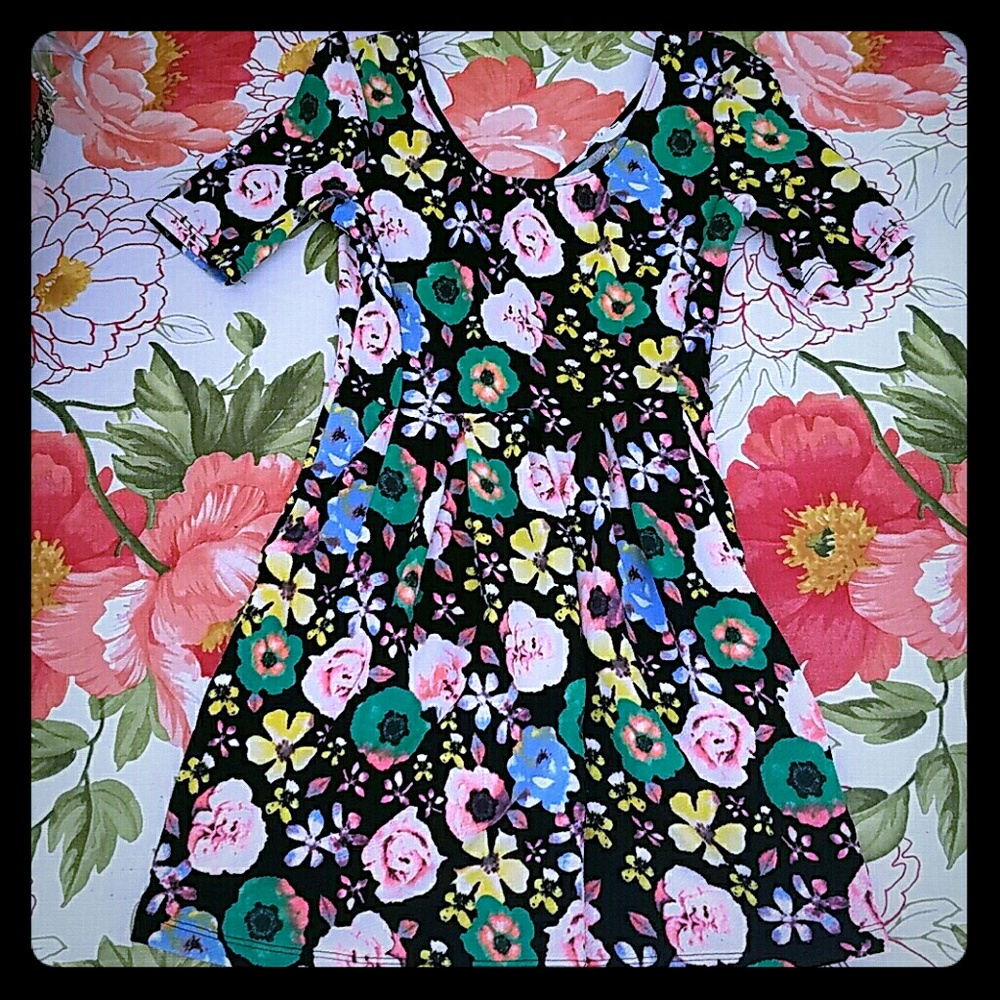 Nordstrom Lush Black Stretchy Floral Dress Size Small