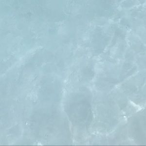 Meet your Posher, Tacara