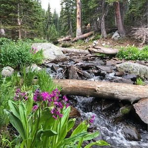 Meet your Posher, Kelsey