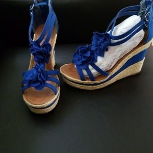 Blue/brown wedges