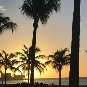 Meet your Posher, Janet