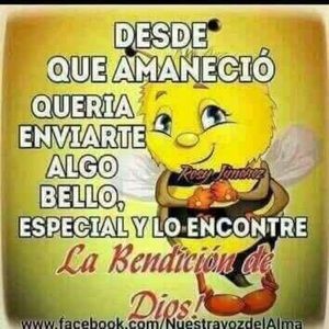 Meet your Posher, Yaricel