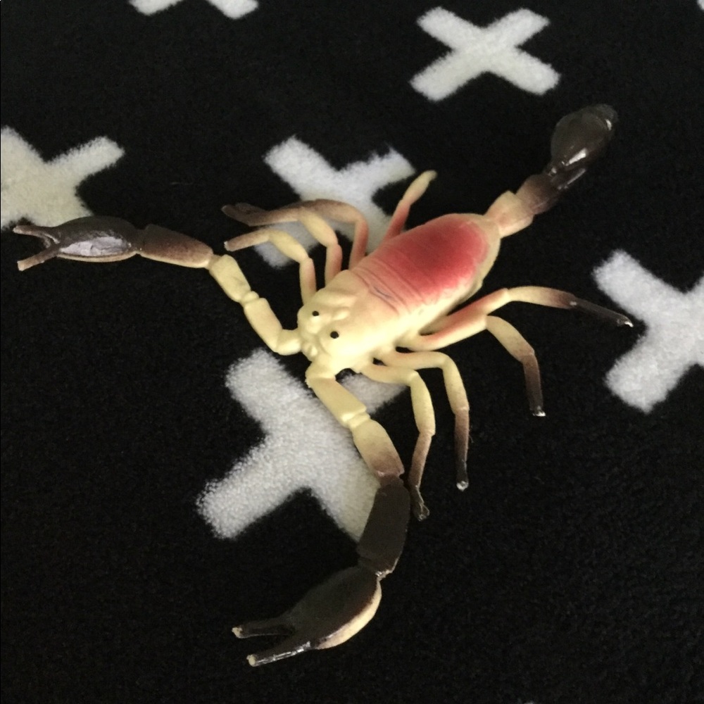 Plastic Scorpion