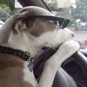 Meet your Posher, Daniel