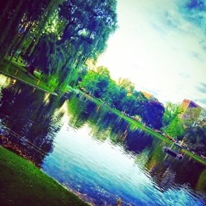 Meet your Posher, Dana