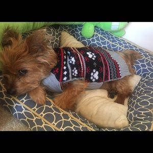 Meet your Posher, Jackie