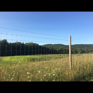 Meet your Posher, Charlotte