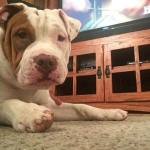 Meet your Posher, Devin