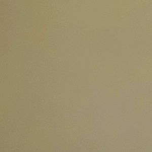 Meet your Posher, Tyrell