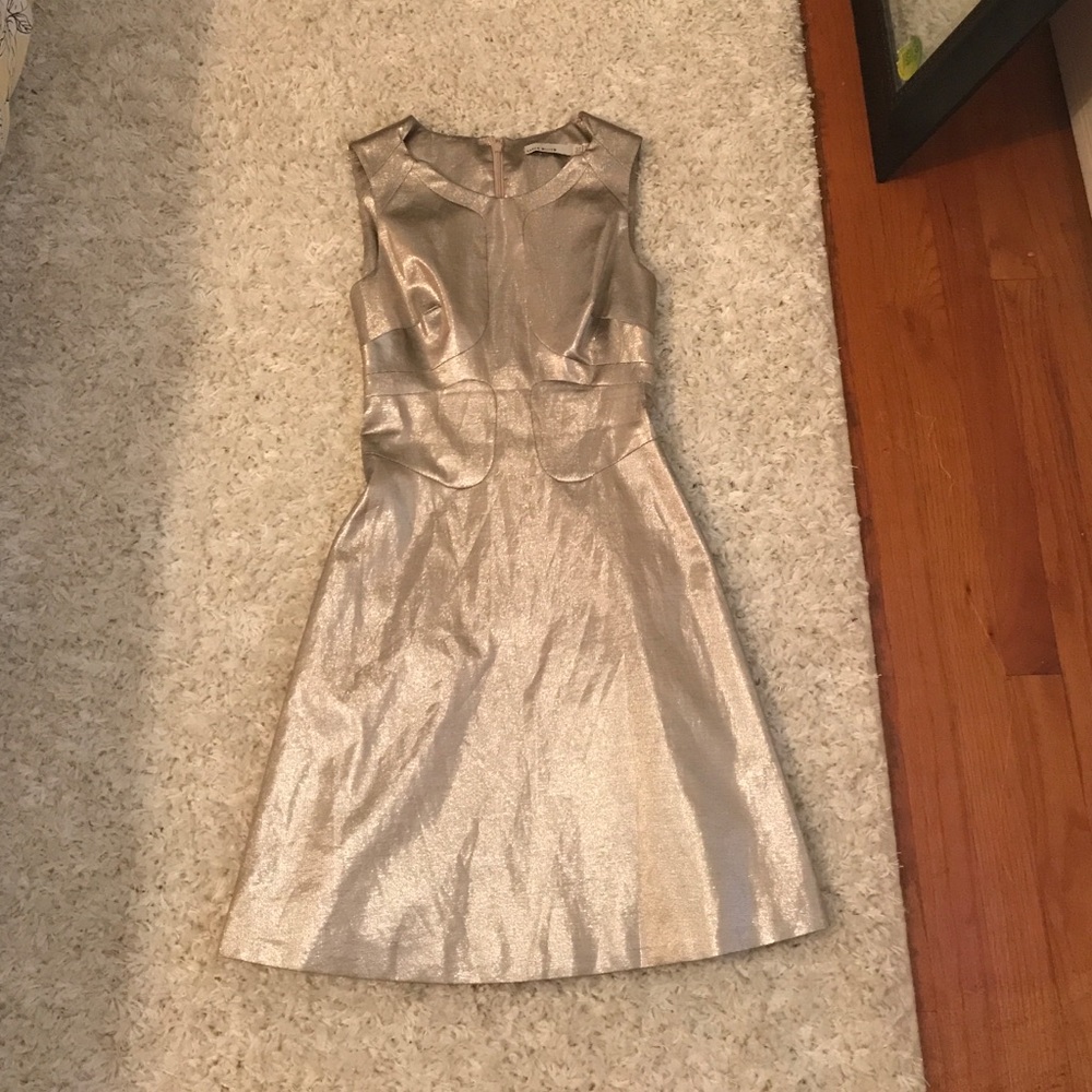 Beautiful party/wedding guest dress