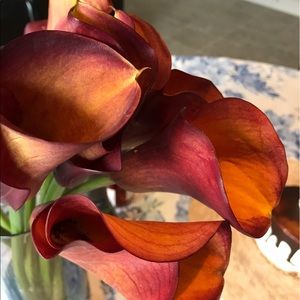 Meet your Posher, Yasmin