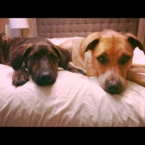 Meet your Posher, Mark