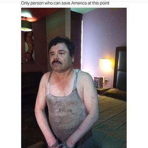 Meet your Posher, Mikki