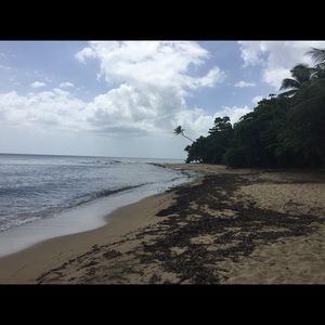 Meet your Posher, Jared