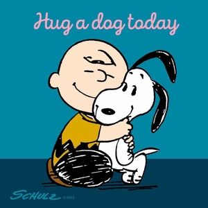 Meet your Posher, Maureen