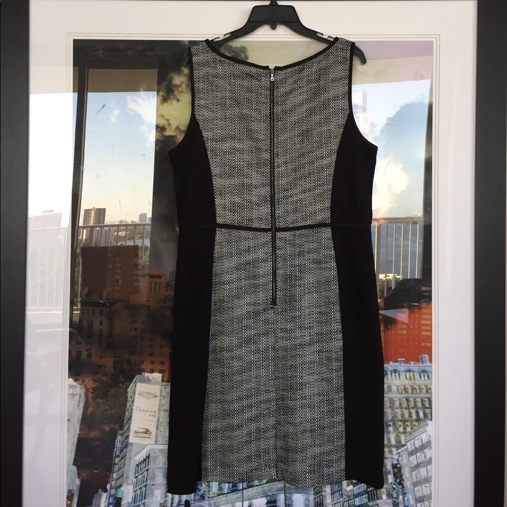 Loft black & white dress - Picture 4 of 8