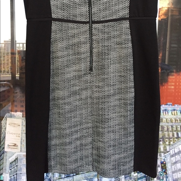 Loft black & white dress - Picture 6 of 8