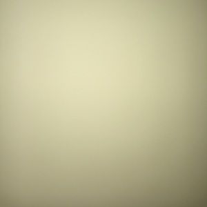 Meet your Posher, Josephine