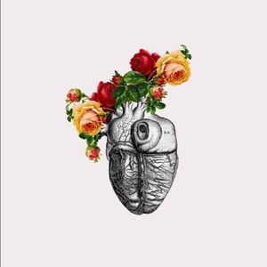 Meet your Posher, Lucy