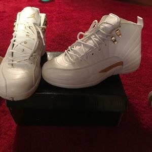 Jordan 12 Retro.... OVO Series