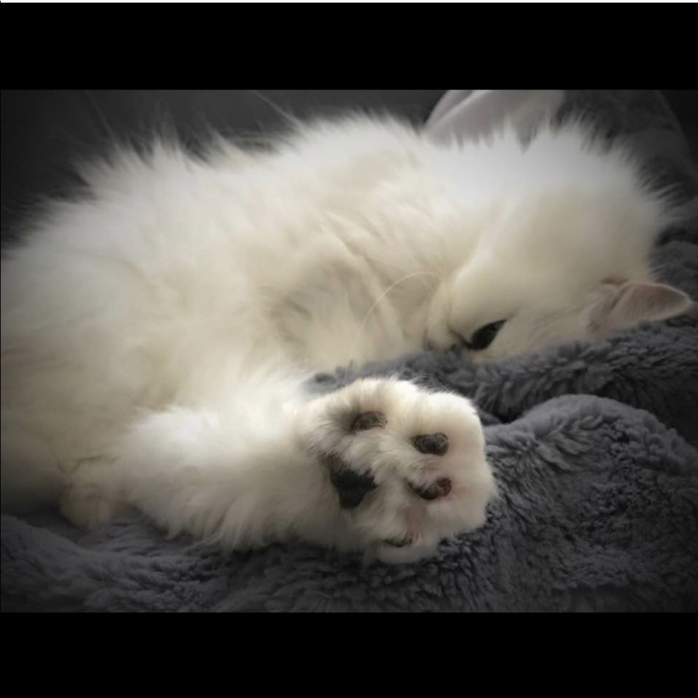 30% off 3 item bundle!🌺