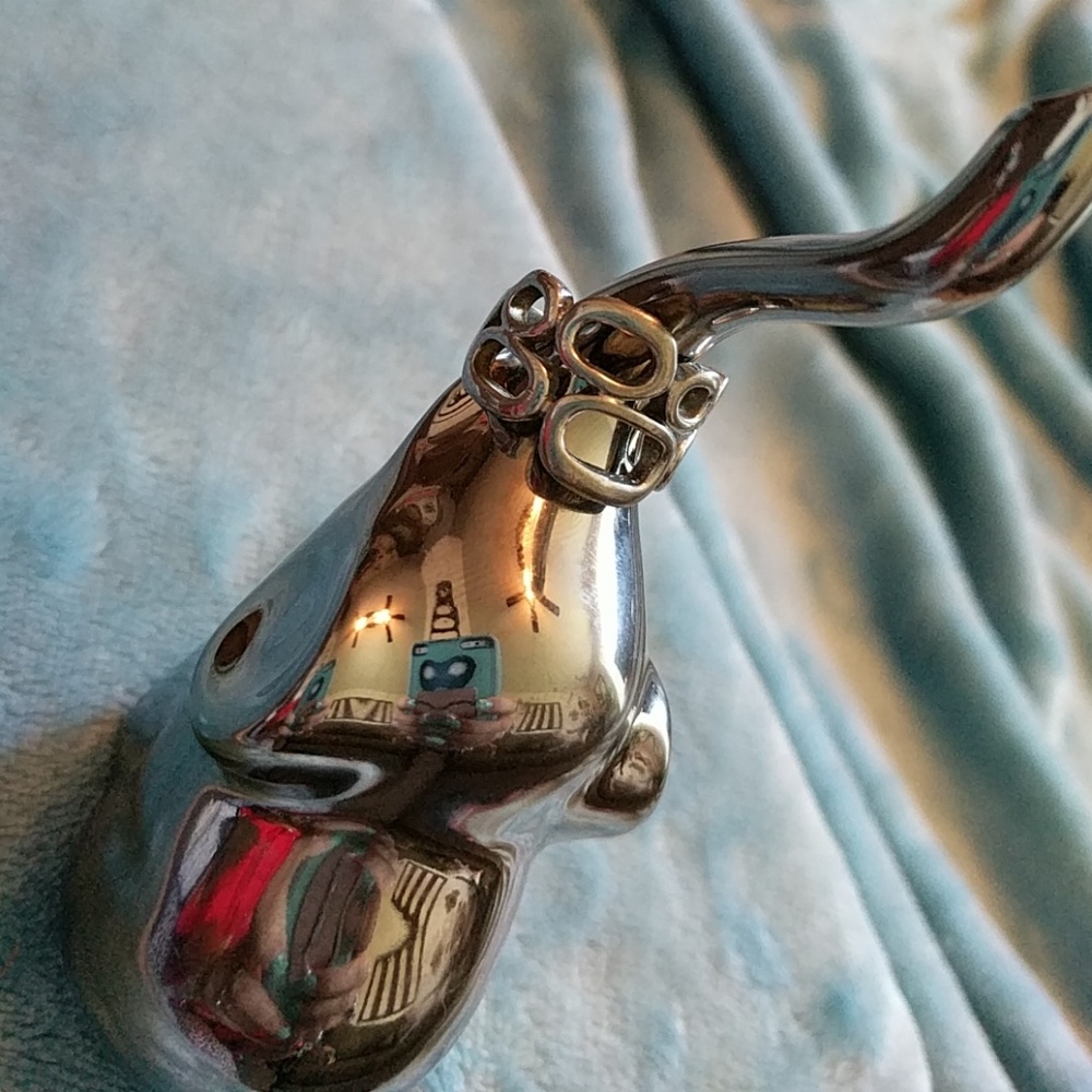 Stainless ring