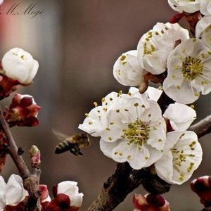 Meet your Posher, Margarita